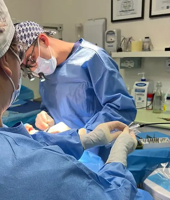 Performing dental procedure on patient